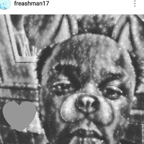 Meet your Posher, Timothy - Picture 1 of 1